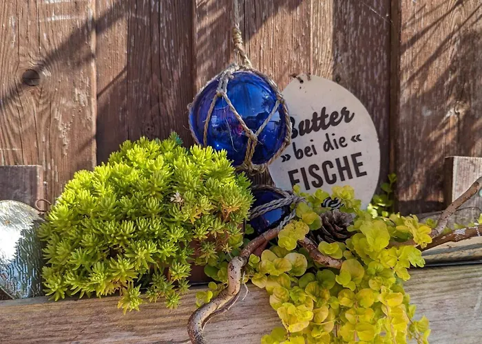 Deichblick 公寓 纽哈灵吉塞尔